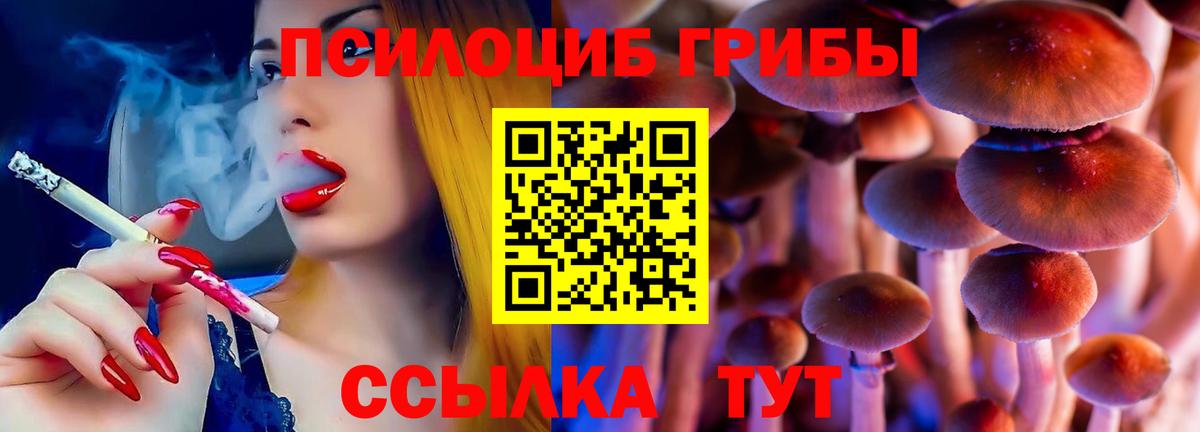 купить наркотики цена  Псилоцибиновые грибы мухоморы  Вход с VPN  Тольятти 