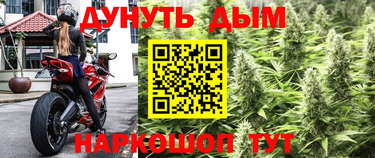 МАРИХУАНА семена Тольятти